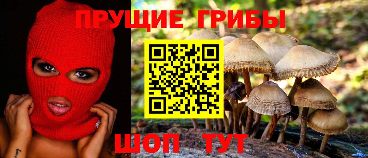 Подольск  Галлюциногенные грибы Cubensis  Вход с VPN  Галлюциногенные грибы ЛСД 