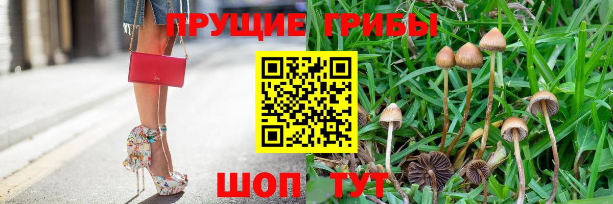 Мефедрон  Марихуана  Меф МЯУ МЯУ   Бошки Шишки  Подольск  Вход с VPN  Alpha-PVP СК   ЭКСТАЗИ 